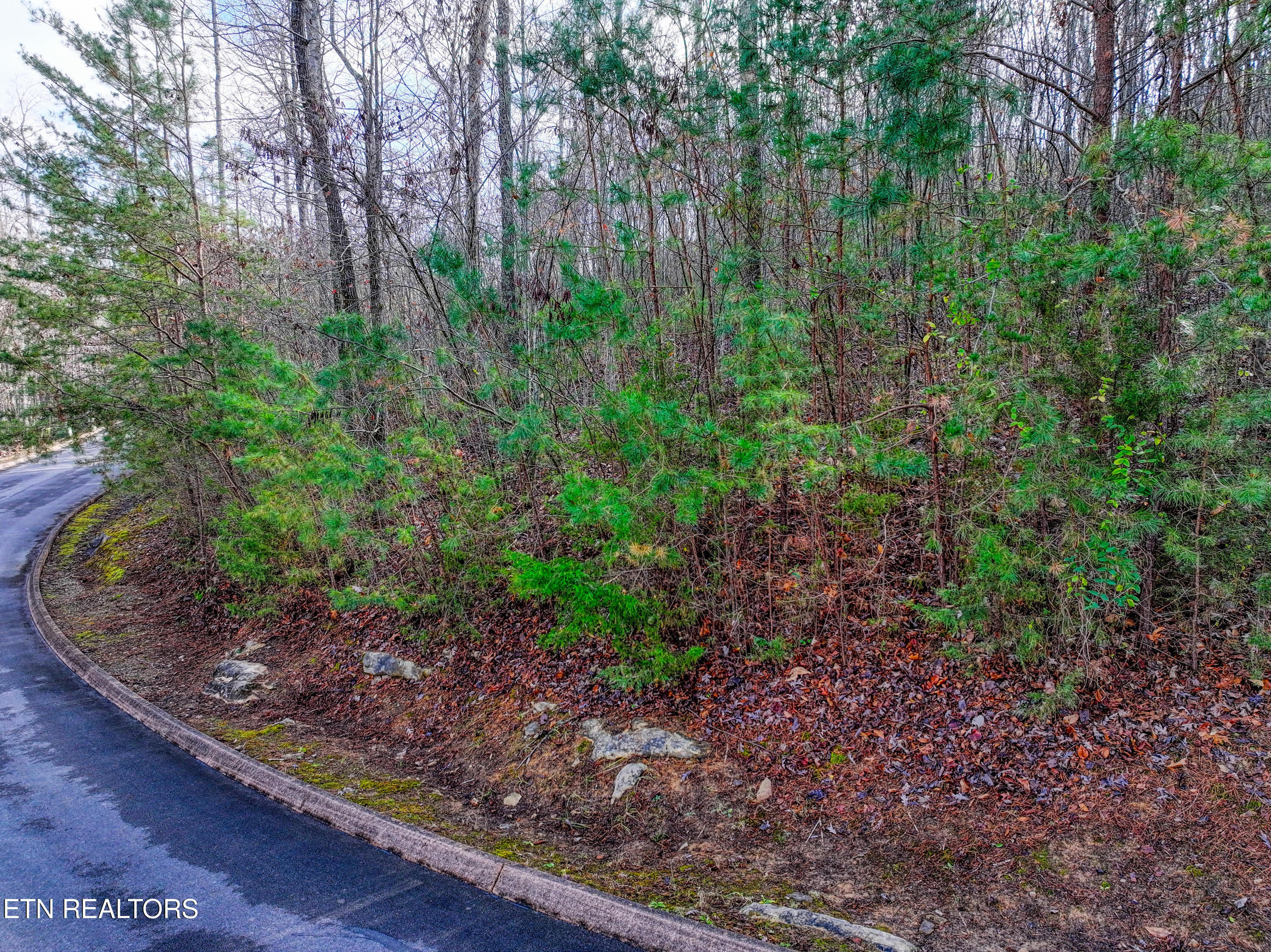 Lot 77 Shiloh Springs Road Rutledge TN 37861
