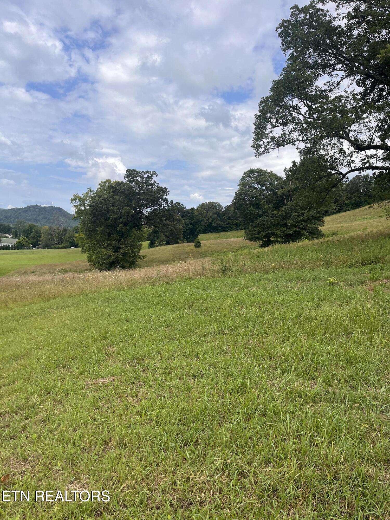 Dayflower Way Maynardville TN 37807