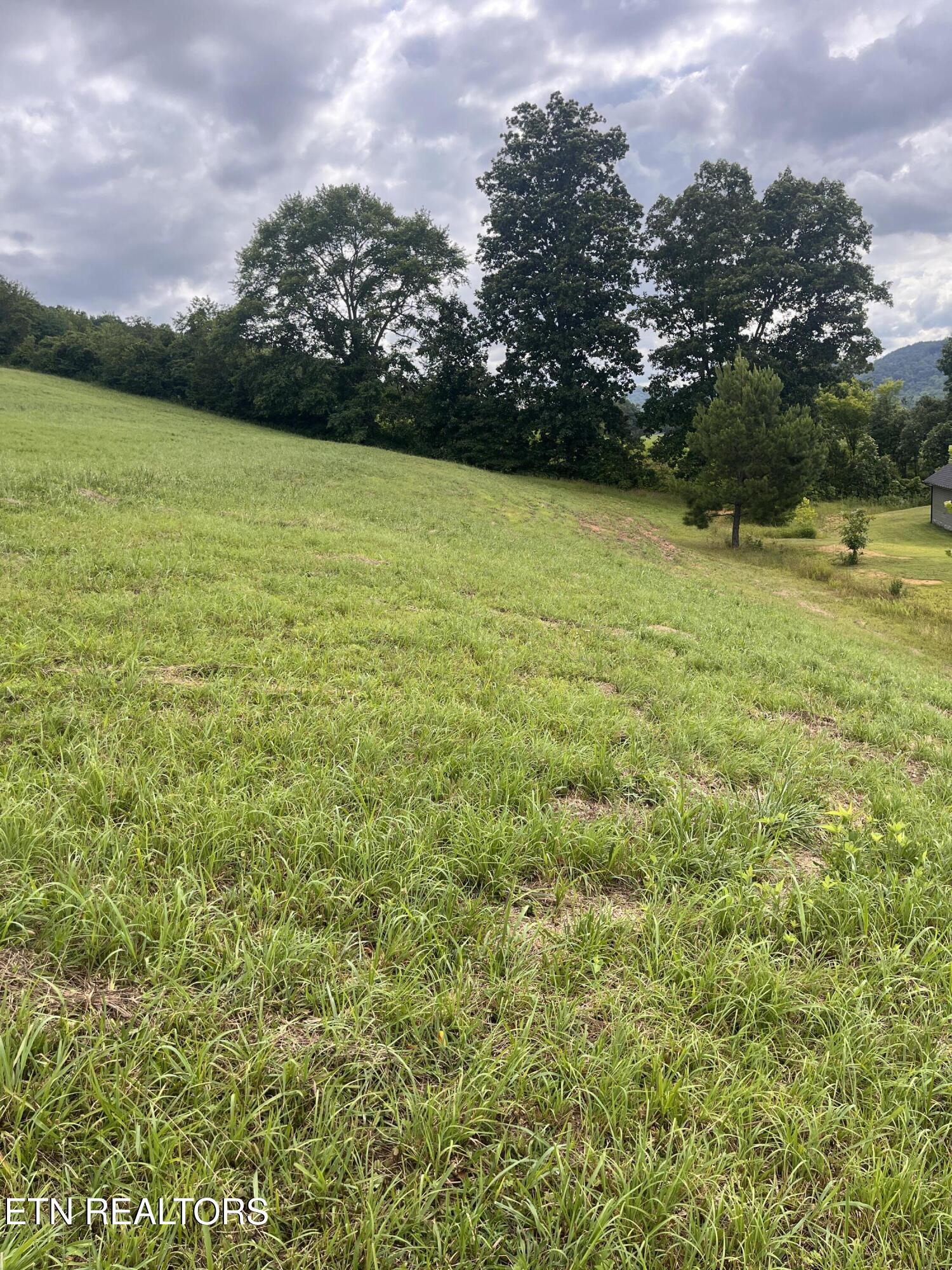 Dayflower Way Maynardville TN 37807