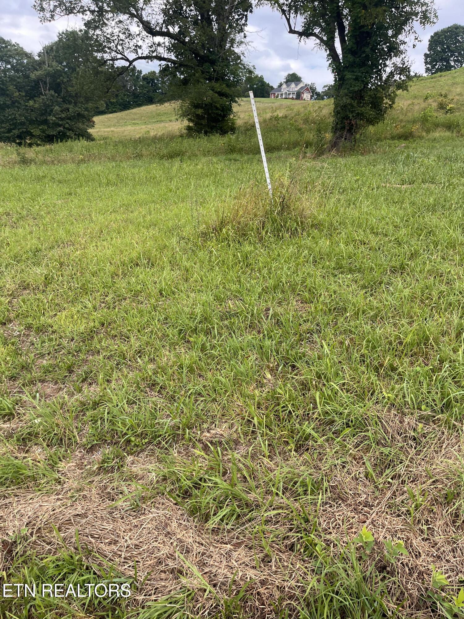 Dayflower Way Maynardville TN 37807