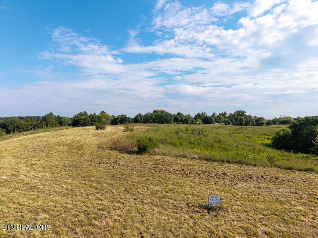 0 Potts Camp Road Smithville TN 37166