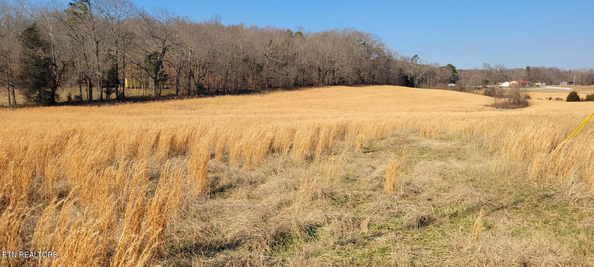201 Evans Road Kingston TN 37763