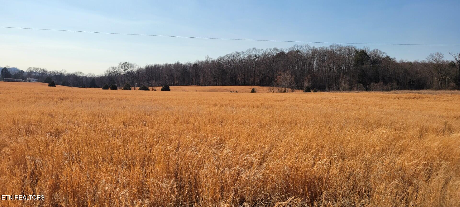 201 Evans Road Kingston TN 37763
