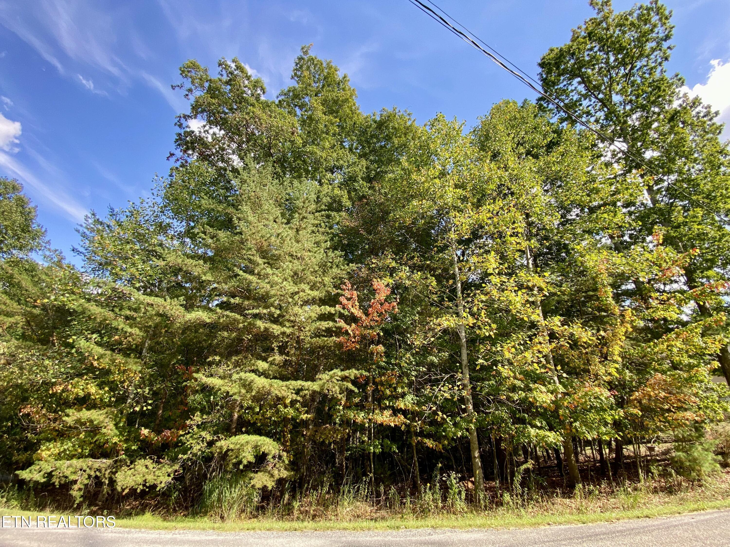 92 Hanning Drive Crossville TN 38558