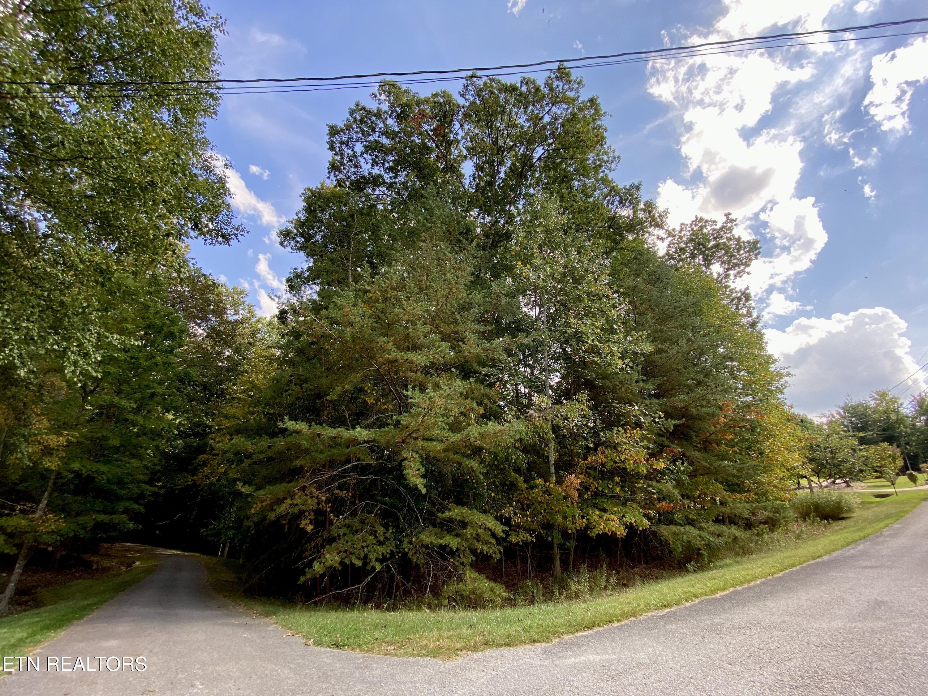 92 Hanning Drive Crossville TN 38558