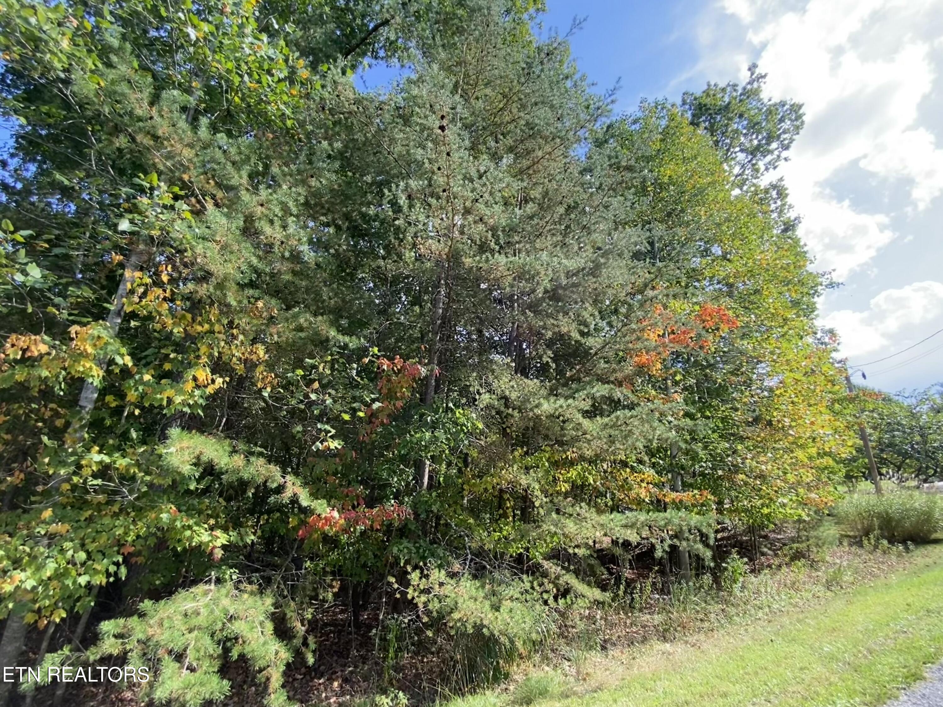 92 Hanning Drive Crossville TN 38558
