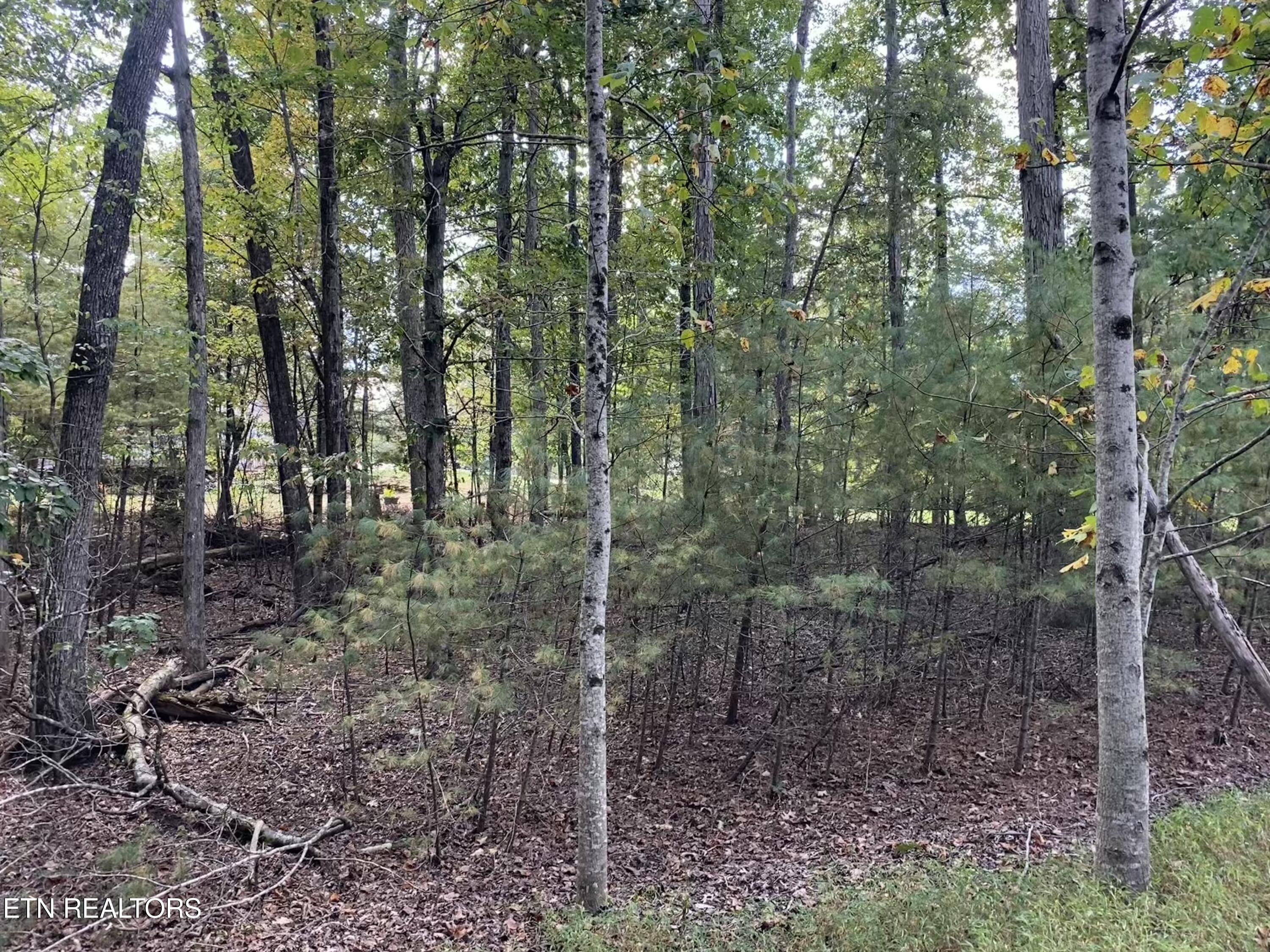 92 Hanning Drive Crossville TN 38558
