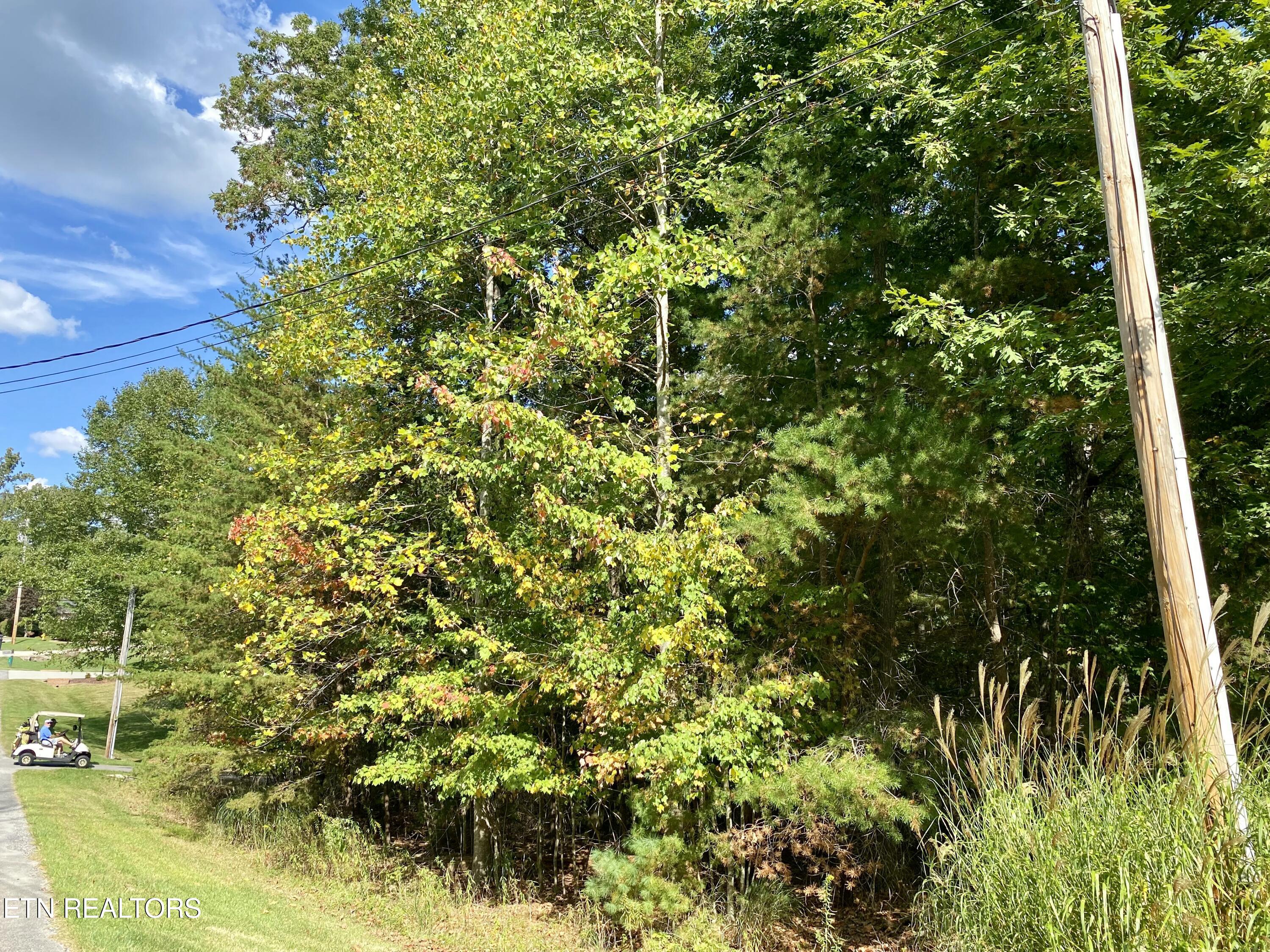 92 Hanning Drive Crossville TN 38558