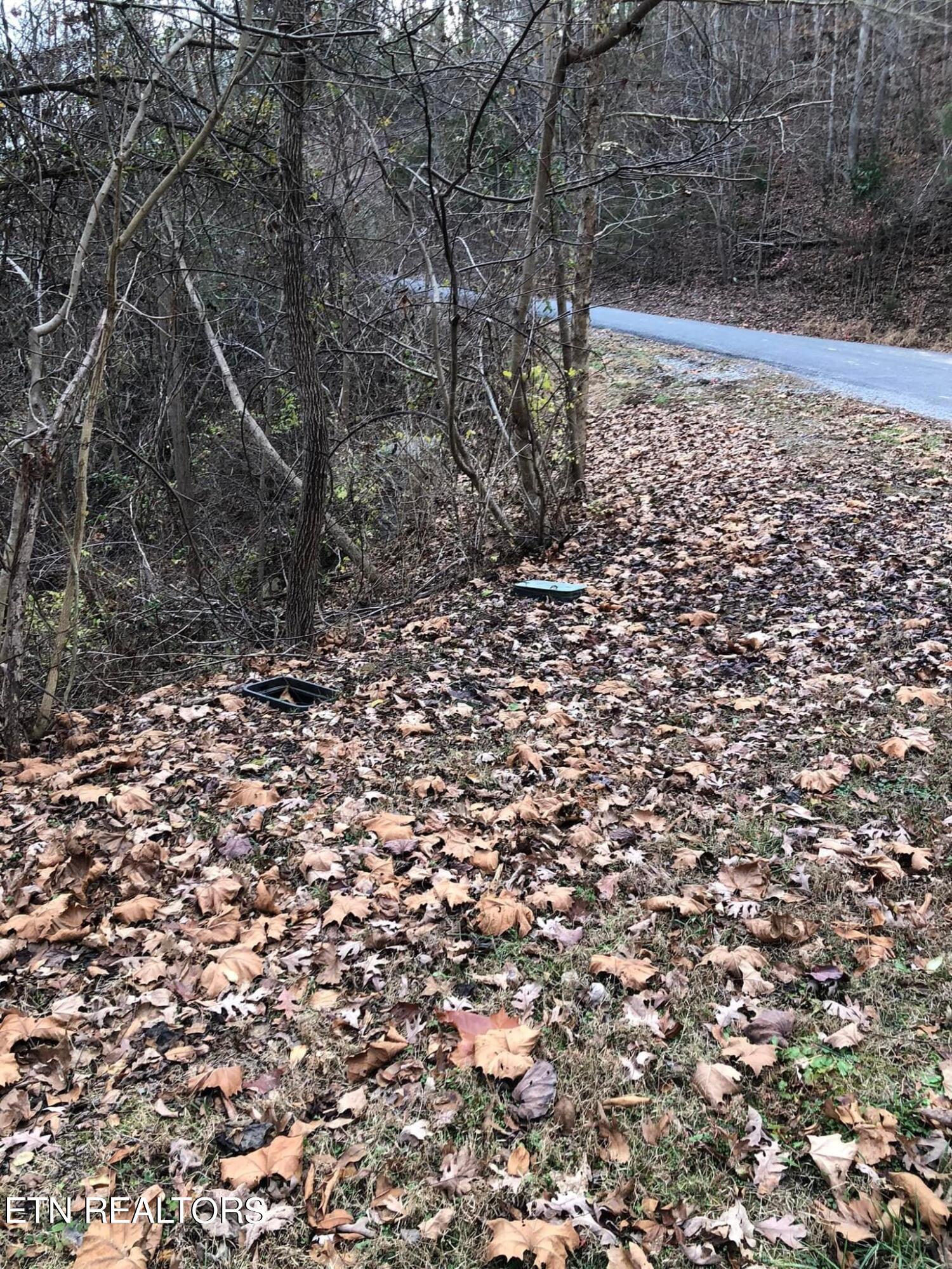 Lot #18 Stone Bridge Drive Dandridge TN 37725