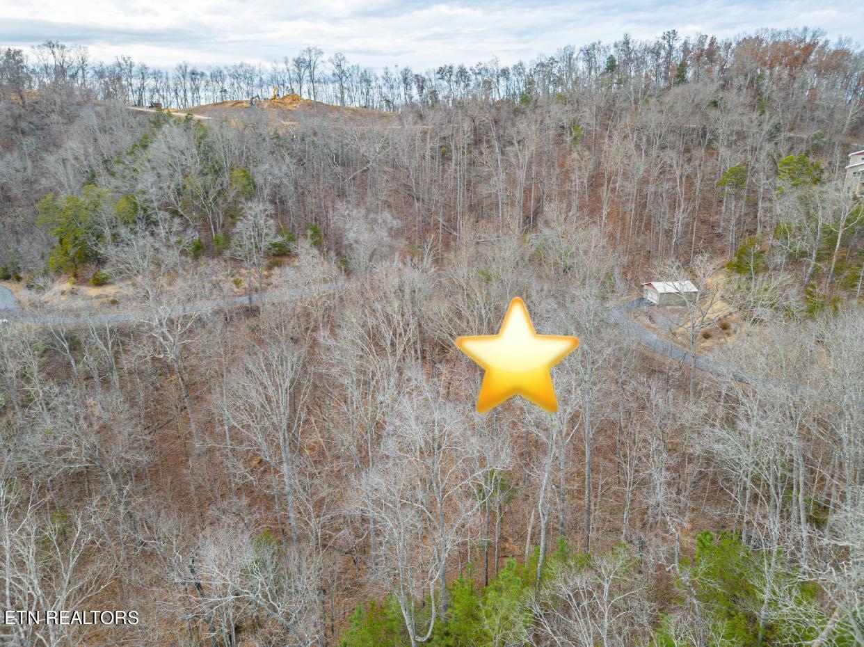 Lot #18 Stone Bridge Drive Dandridge TN 37725