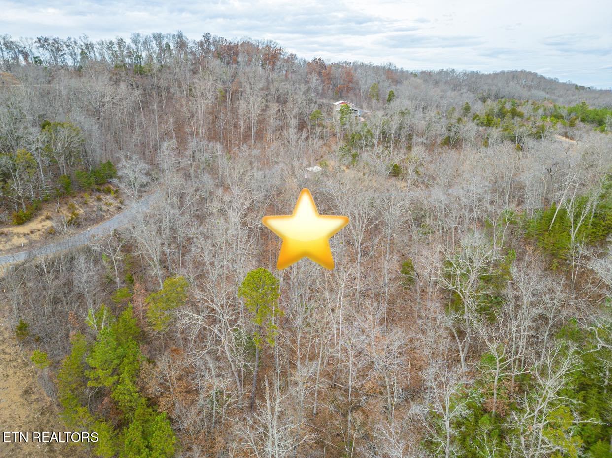 Lot #18 Stone Bridge Drive Dandridge TN 37725