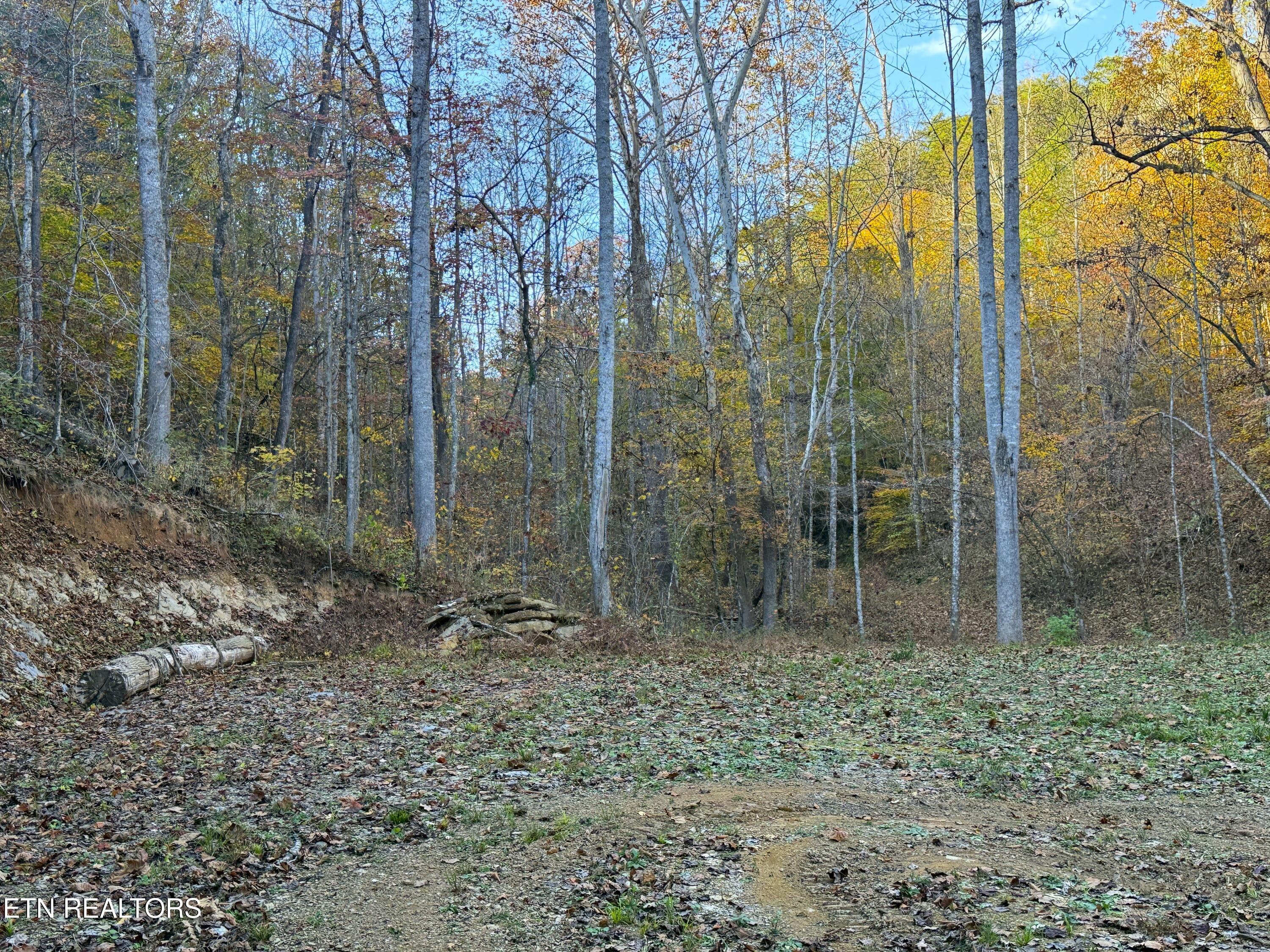 Tract 7 Topaz Way Parrottsville TN 37843
