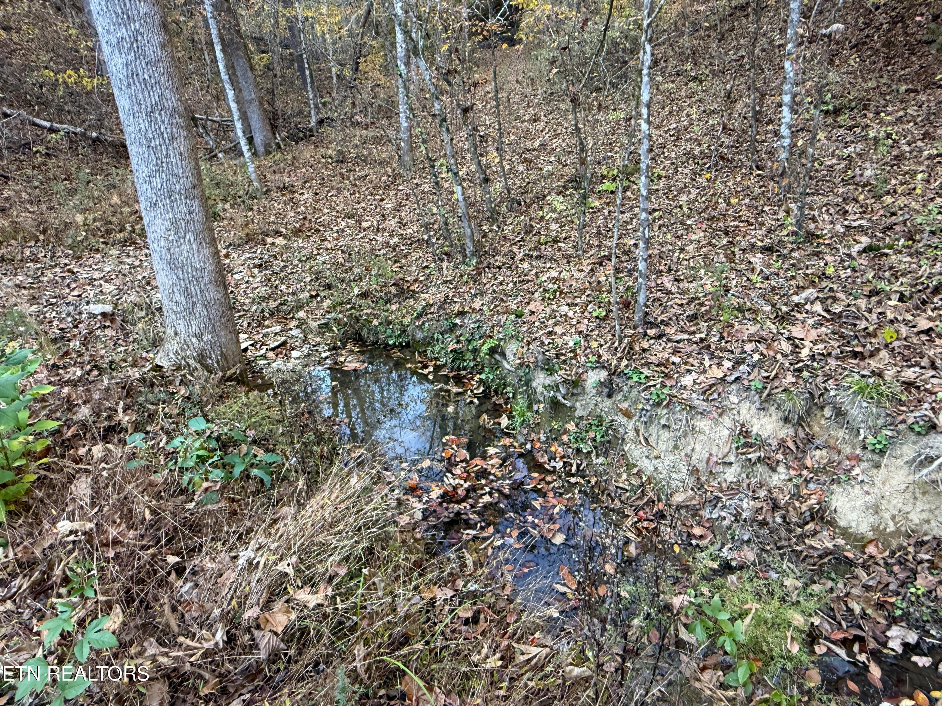 Tract 7 Topaz Way Parrottsville TN 37843
