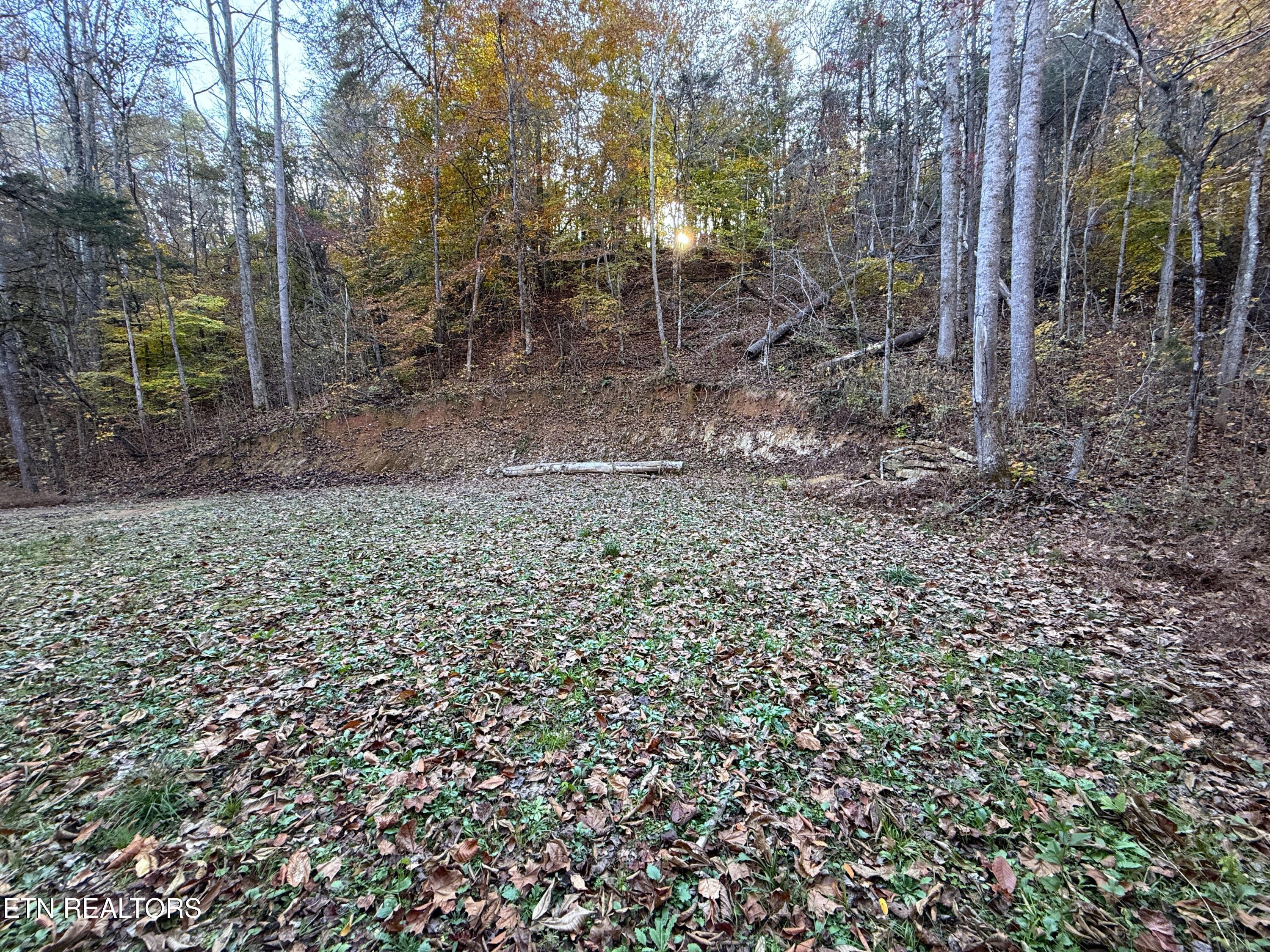 Tract 7 Topaz Way Parrottsville TN 37843