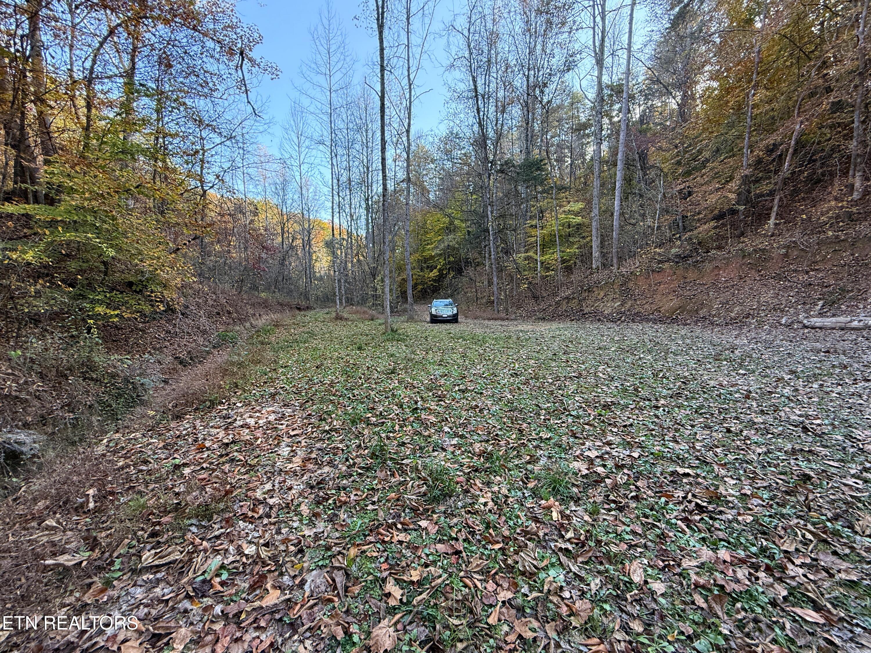 Tract 7 Topaz Way Parrottsville TN 37843