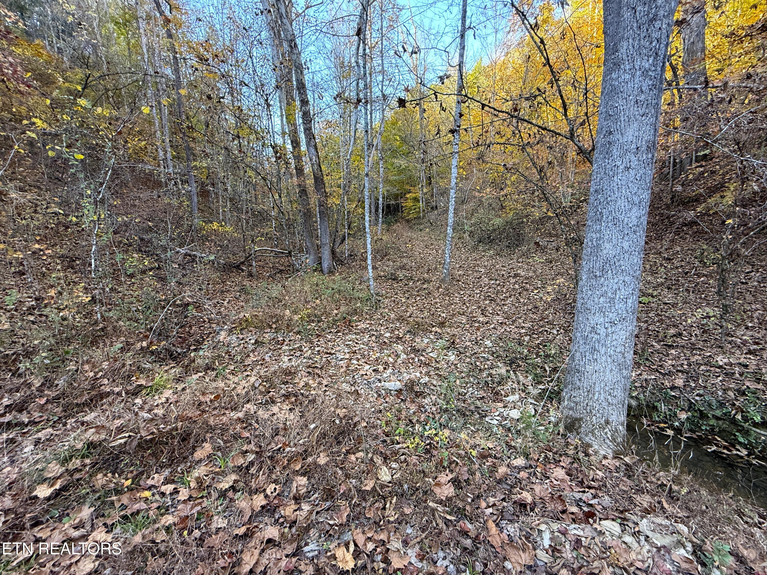 Tract 7 Topaz Way Parrottsville TN 37843