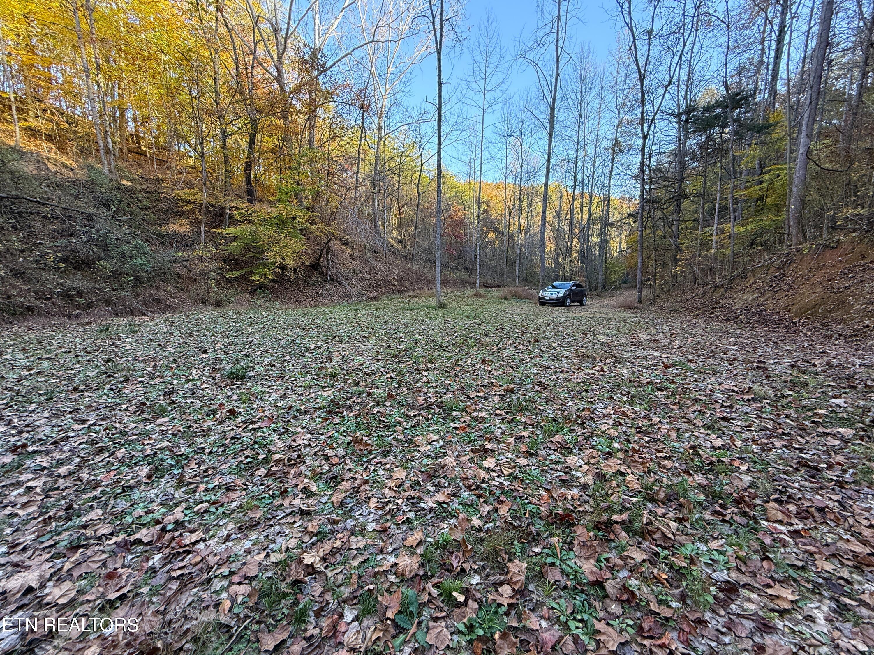 Tract 7 Topaz Way Parrottsville TN 37843