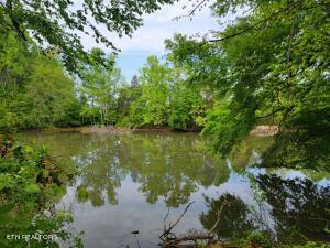 00 Scoggins Lane Dayton TN 37321