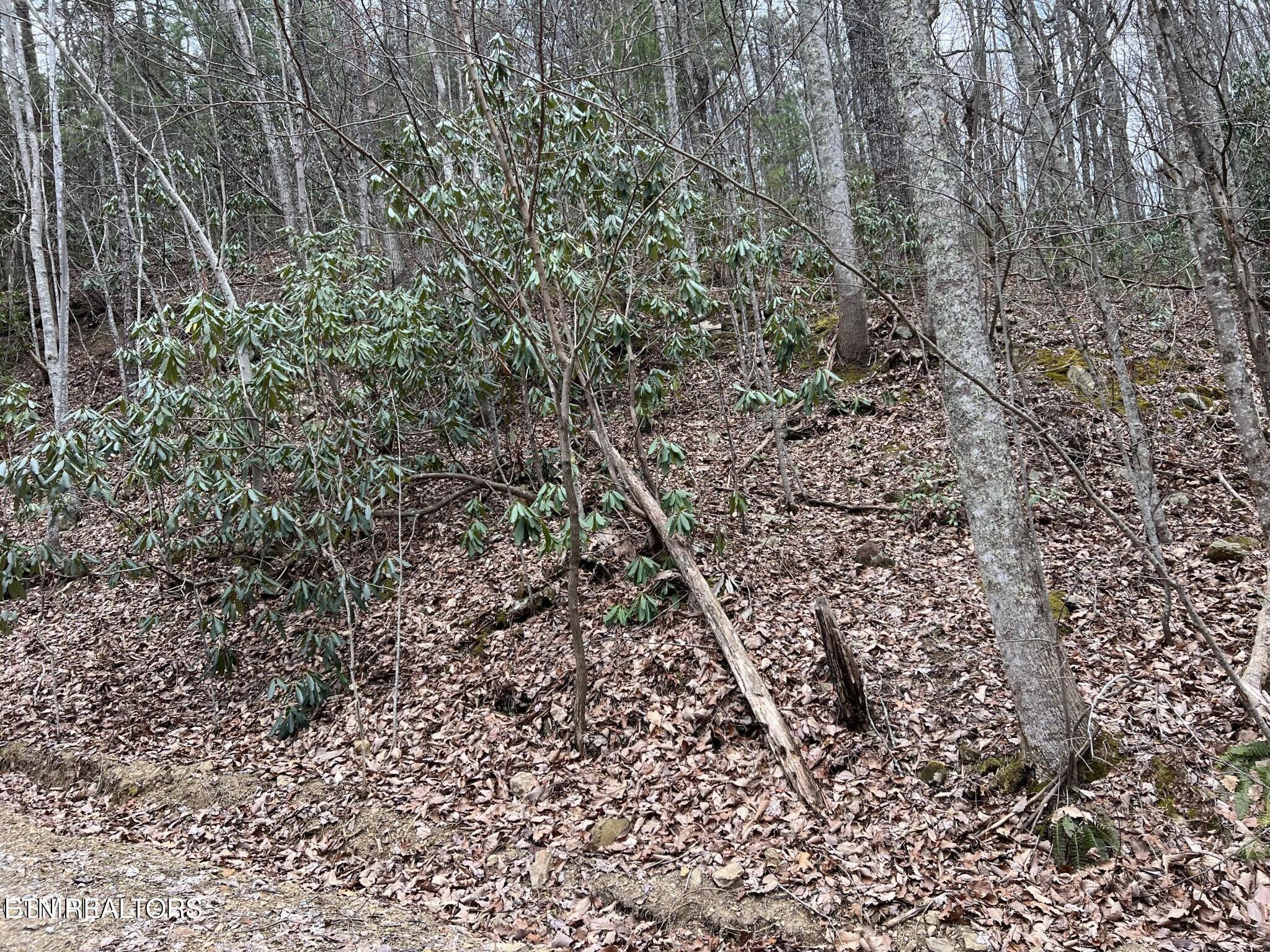 John Sevier Drive Sevierville TN 37876