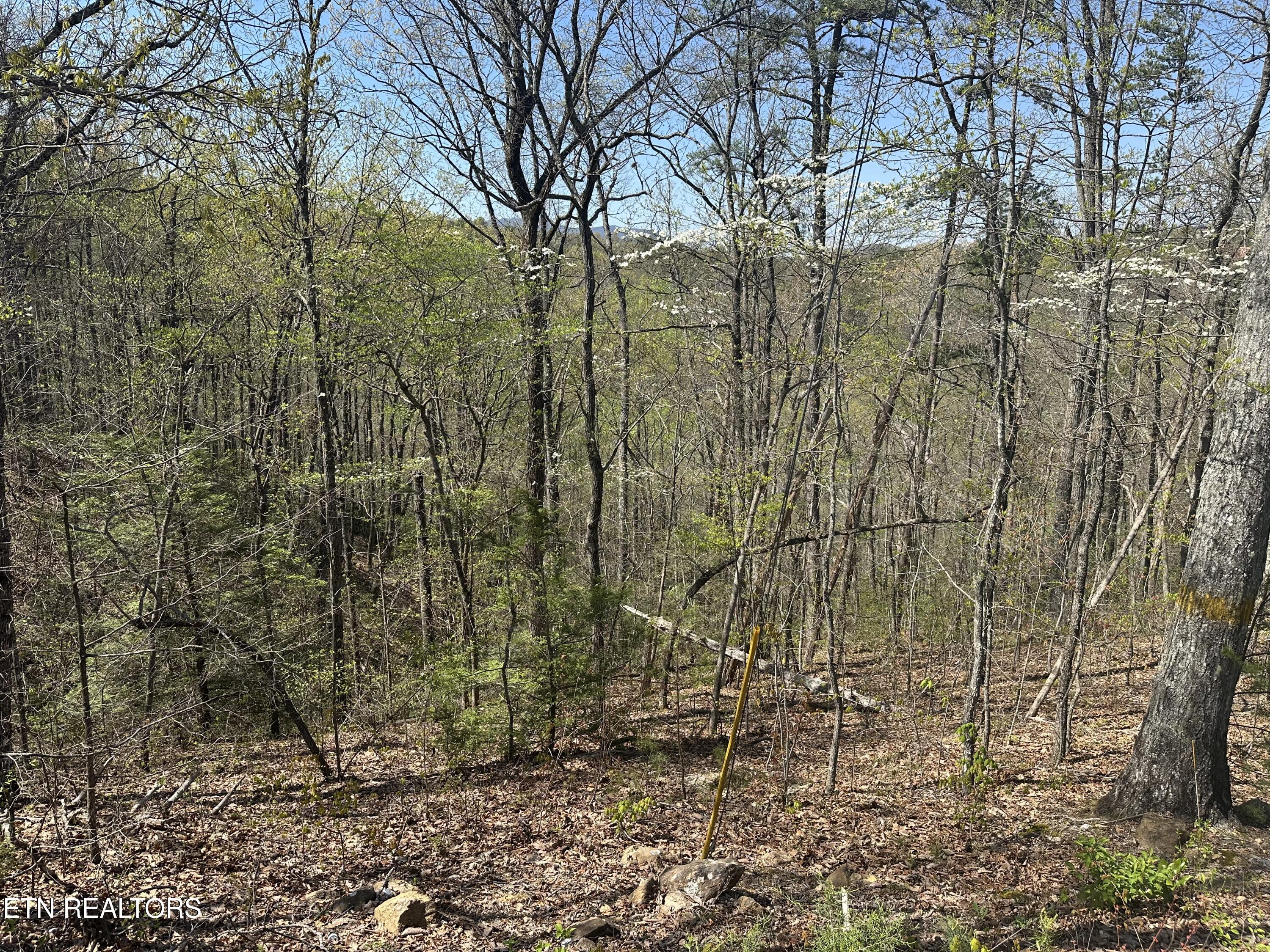 1532 Mountain Dreams Way Pigeon Forge TN 37862