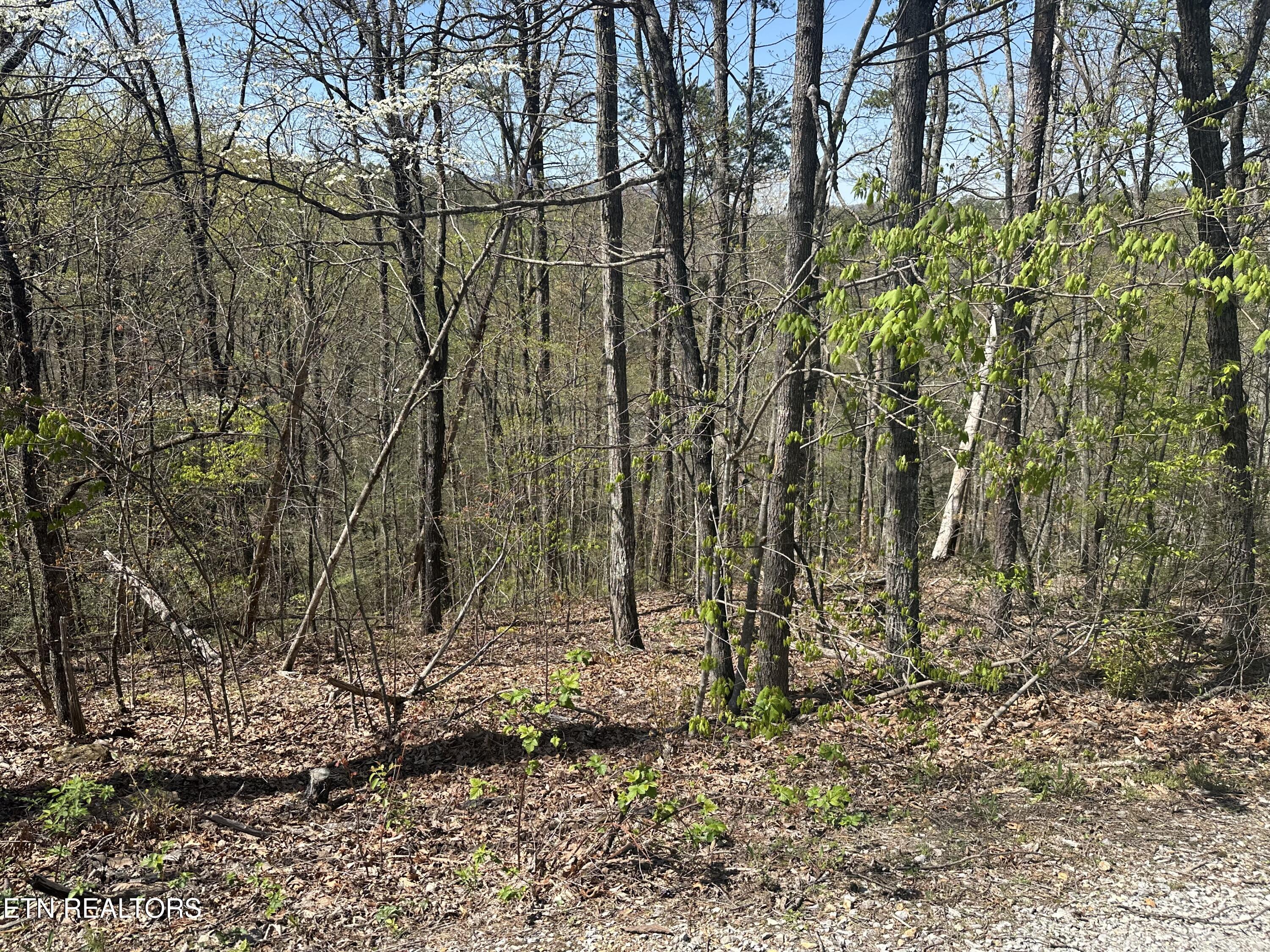 1532 Mountain Dreams Way Pigeon Forge TN 37862