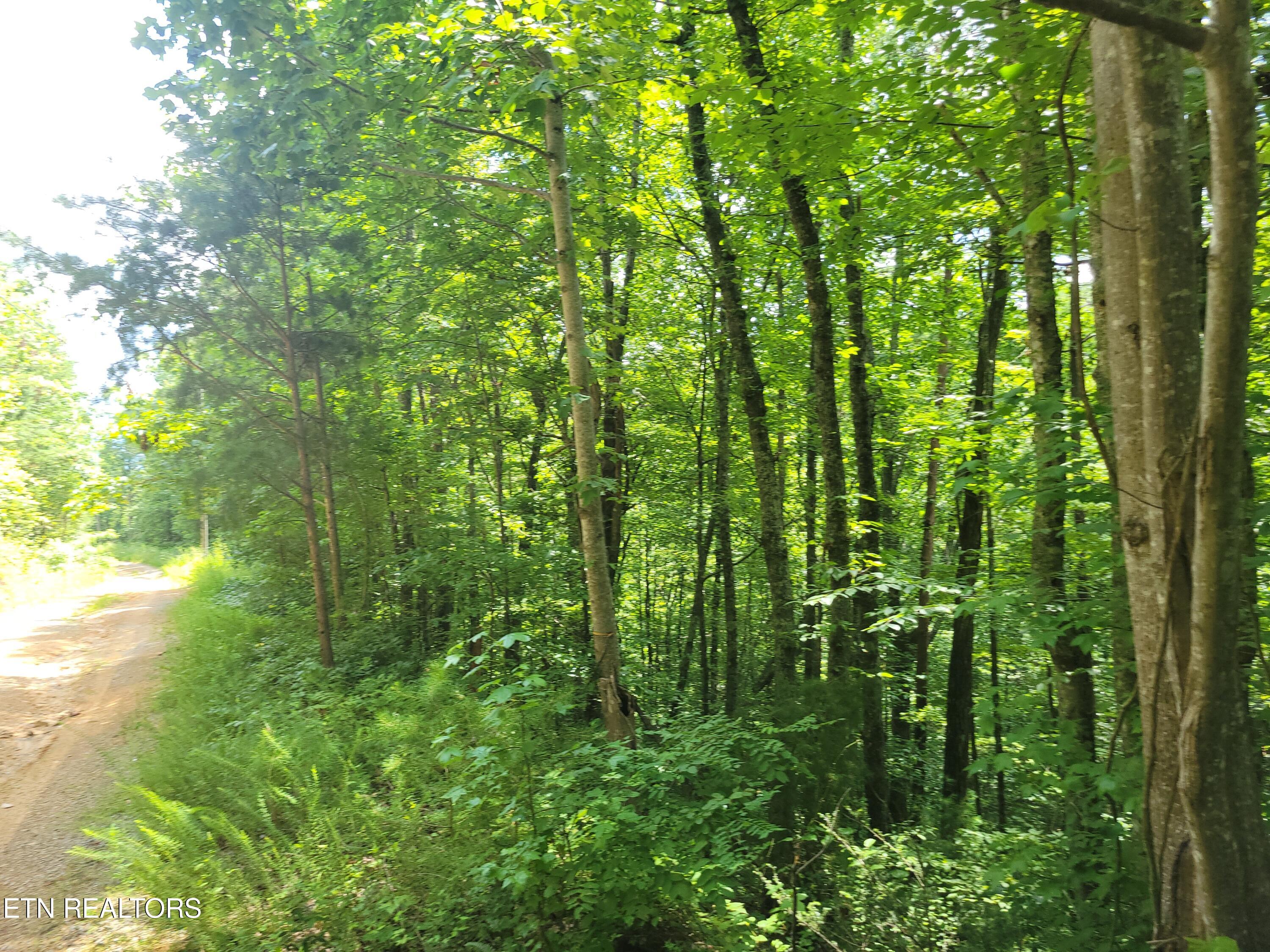 Lot 81 Buttonwood Drive Sevierville TN 37876