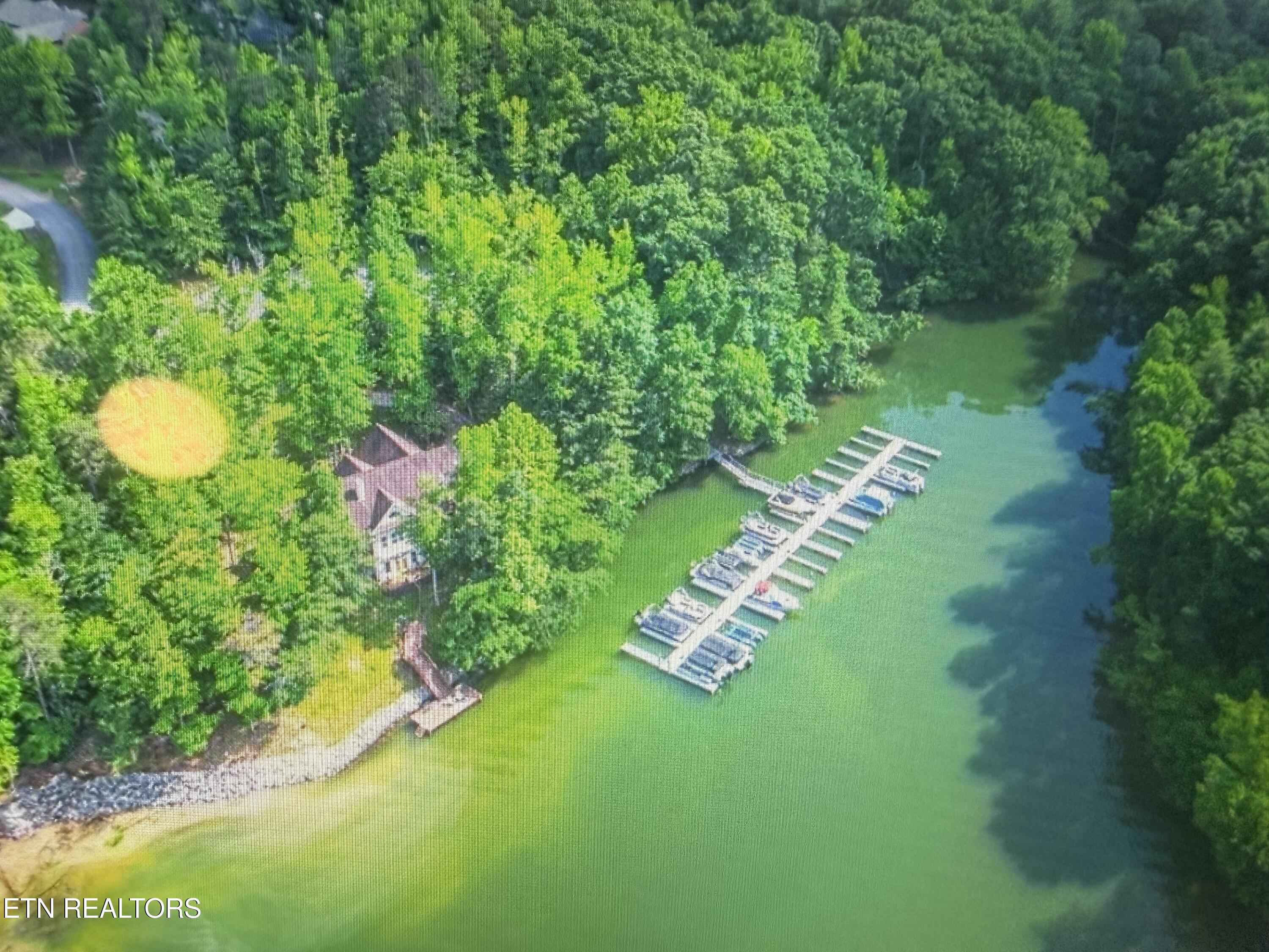 0 Crystal Springs Road Rockwood TN 37854