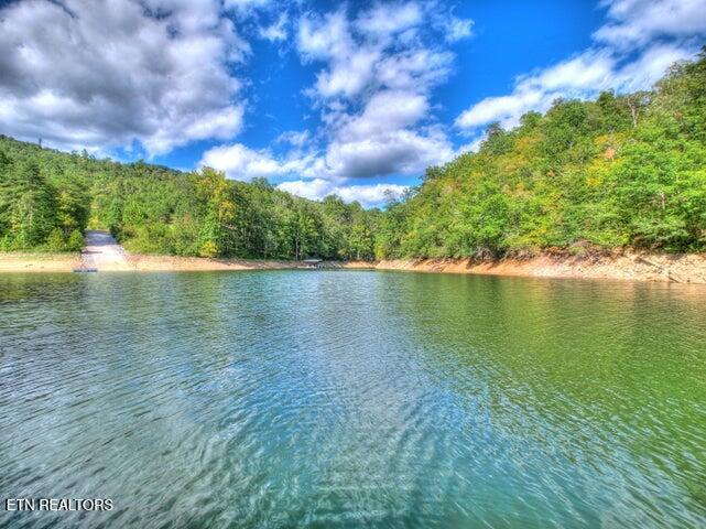 Lot 33 Mountain Shores Road New Tazewell TN 37825