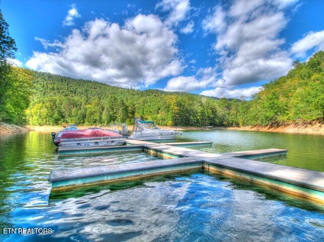 Lot 33 Mountain Shores Road New Tazewell TN 37825