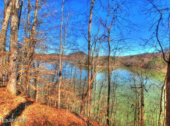 Lot 33 Mountain Shores Road New Tazewell TN 37825