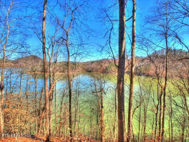 Lot 33 Mountain Shores Road New Tazewell TN 37825