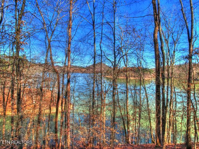 Lot 33 Mountain Shores Road New Tazewell TN 37825