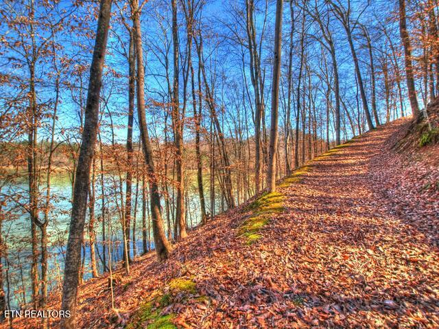 Lot 33 Mountain Shores Road New Tazewell TN 37825