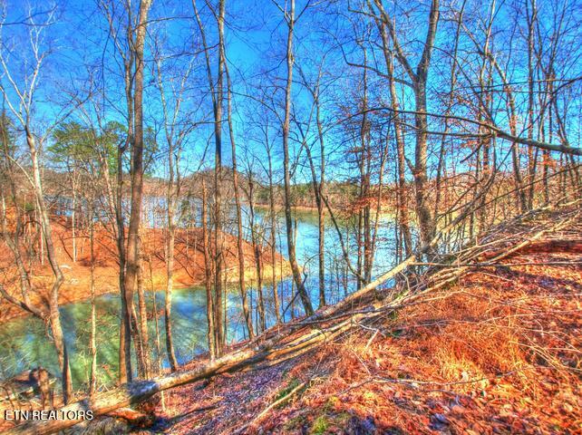 Lot 33 Mountain Shores Road New Tazewell TN 37825