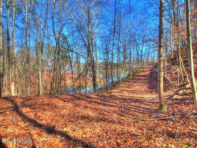 Lot 33 Mountain Shores Road New Tazewell TN 37825