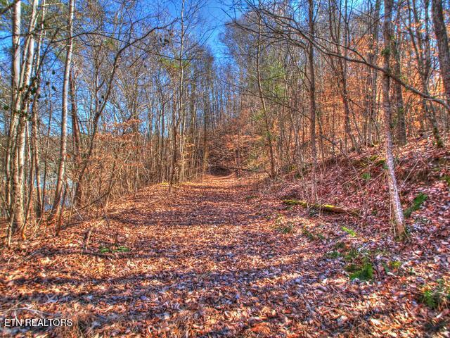 Lot 33 Mountain Shores Road New Tazewell TN 37825