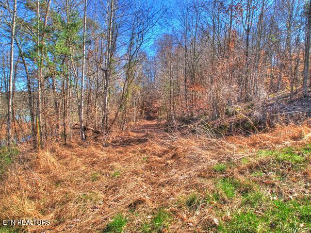 Lot 33 Mountain Shores Road New Tazewell TN 37825