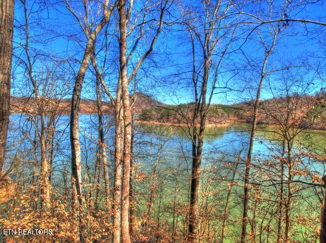 Lot 33 Mountain Shores Road New Tazewell TN 37825