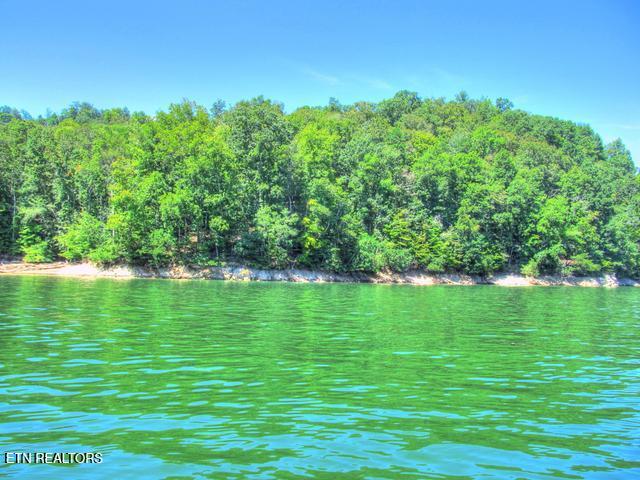 Lot 33 Mountain Shores Road New Tazewell TN 37825