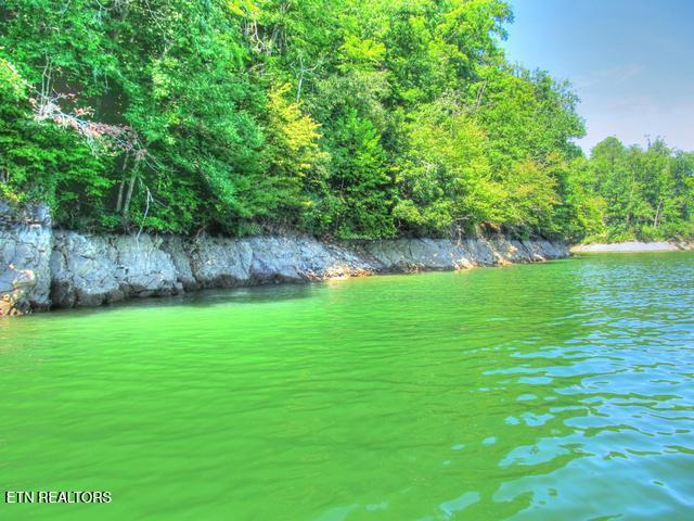 Lot 33 Mountain Shores Road New Tazewell TN 37825