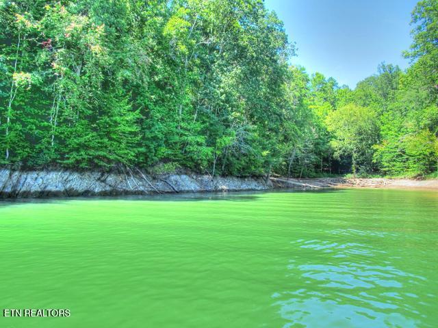 Lot 33 Mountain Shores Road New Tazewell TN 37825
