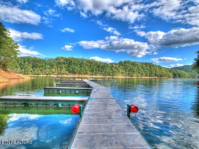 Lot 33 Mountain Shores Road New Tazewell TN 37825