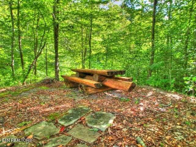 Lot 33 Mountain Shores Road New Tazewell TN 37825