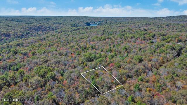 120 Newcastle Lane Crossville TN 38555
