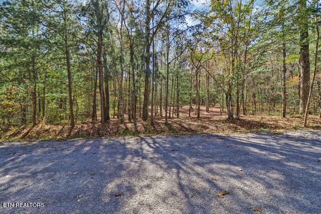 120 Newcastle Lane Crossville TN 38555