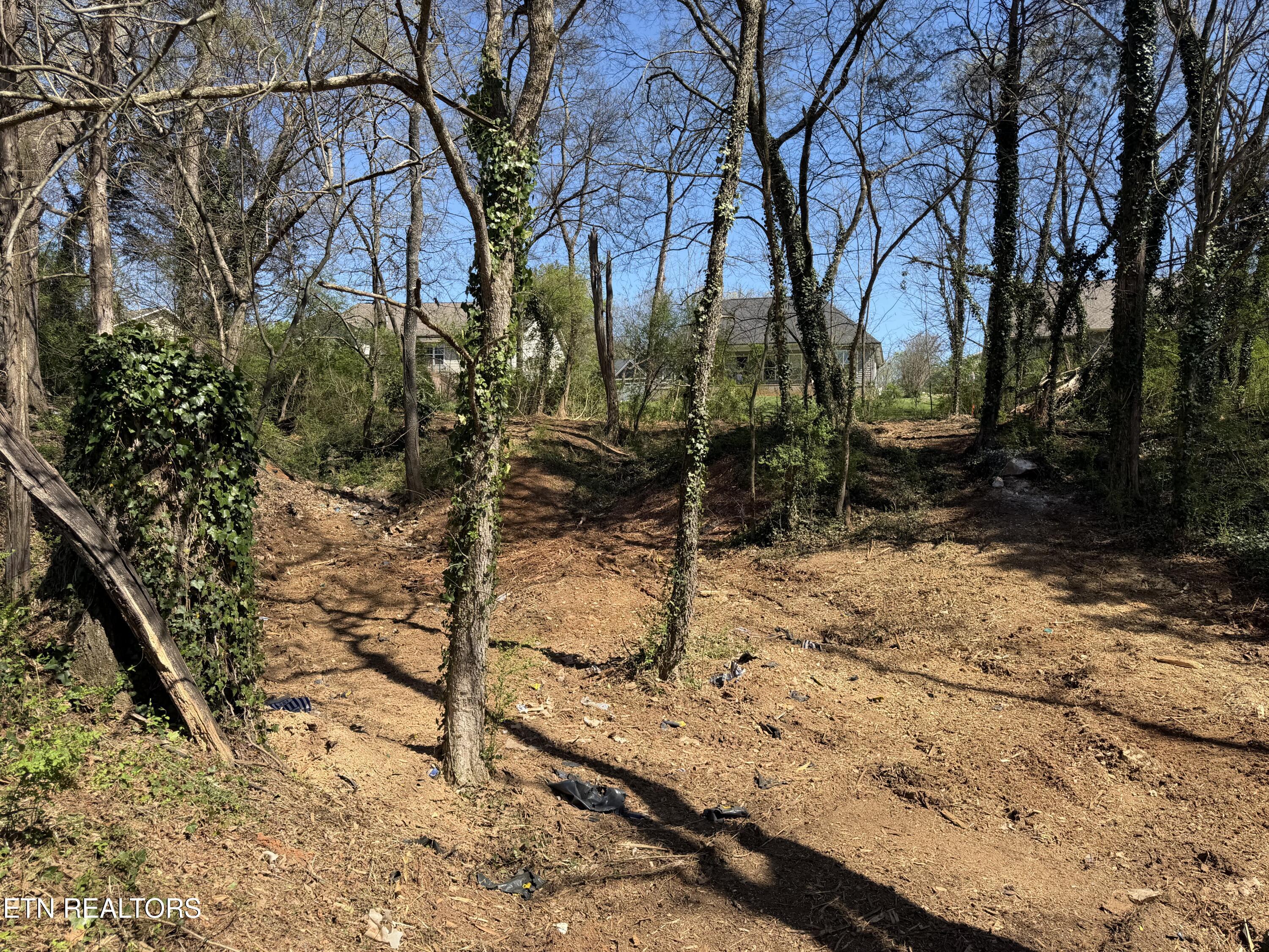 210 Chatuga Way Loudon TN 37774