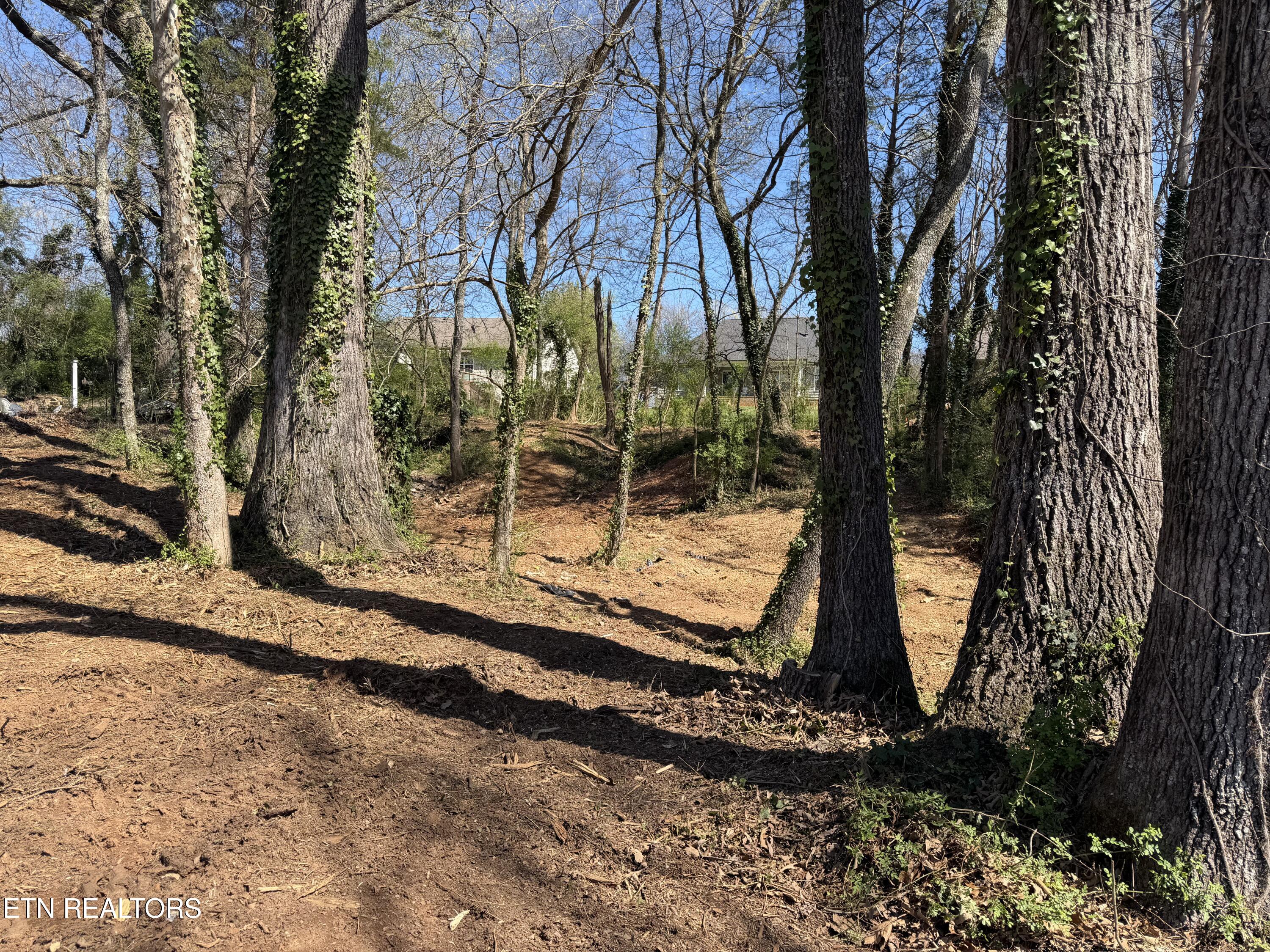 210 Chatuga Way Loudon TN 37774