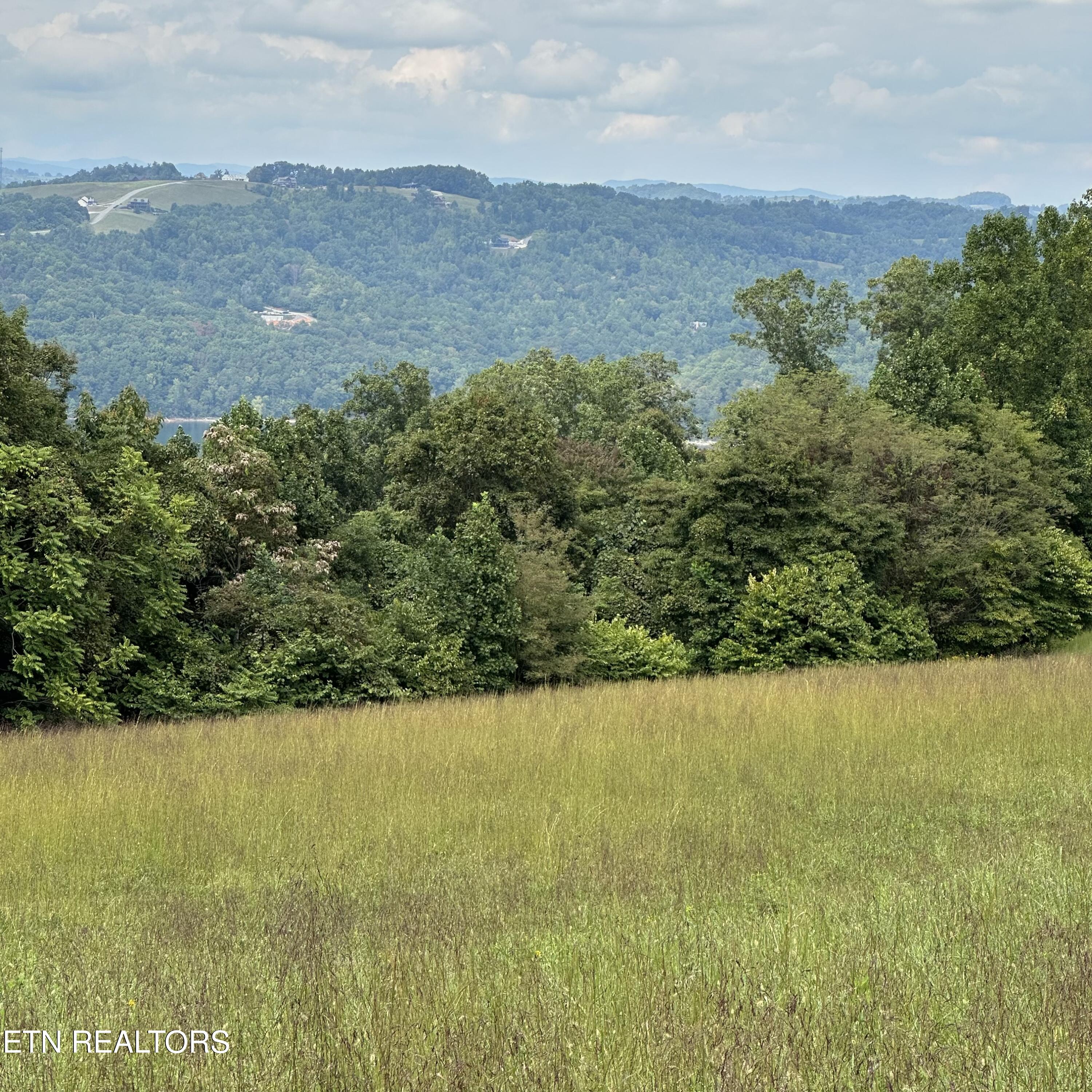 Overton Lot 11 Road Maynardville TN 37807