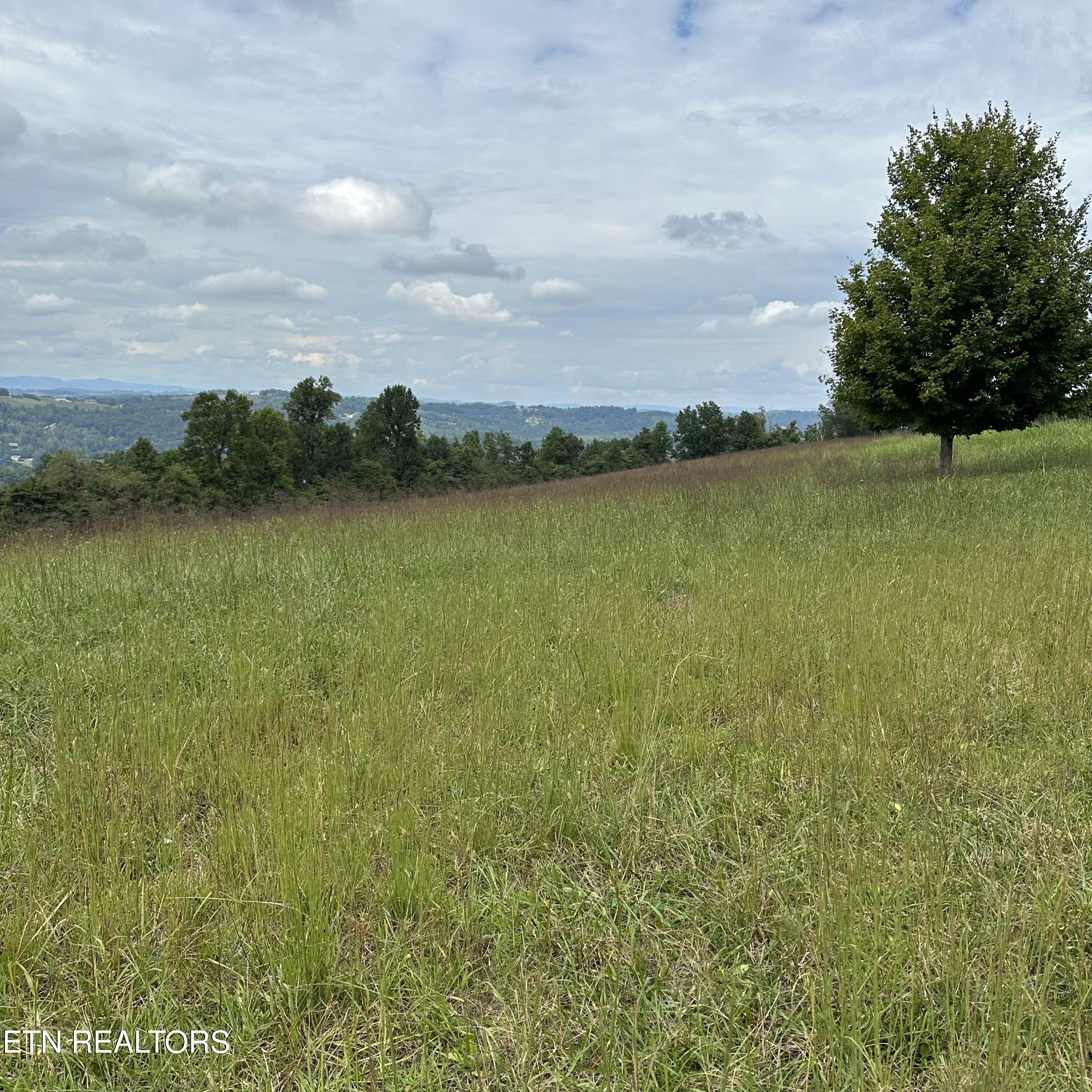 Overton Lot 11 Road Maynardville TN 37807