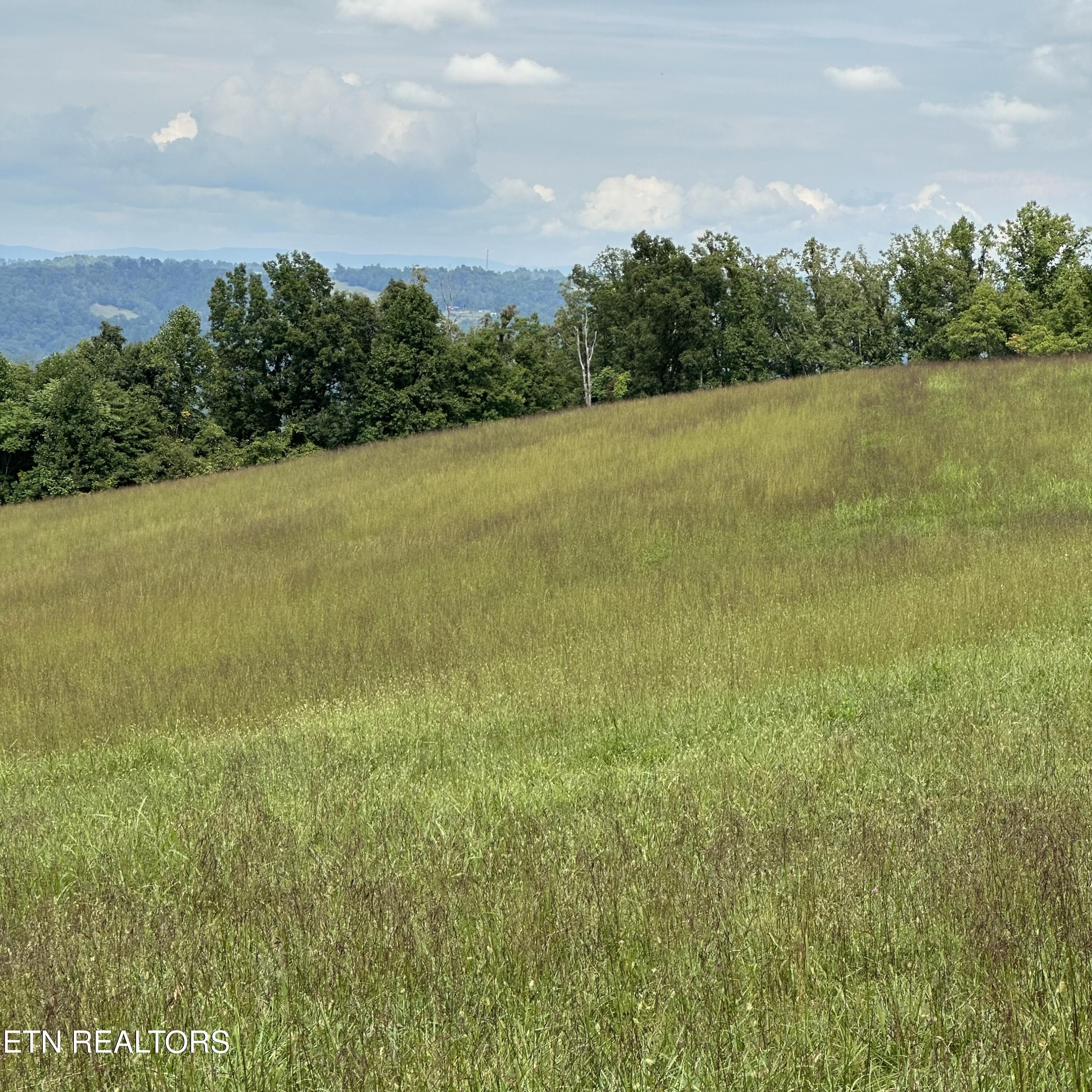 Overton Lot 11 Road Maynardville TN 37807